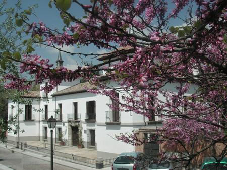 Casa palalcio Manuel Godoy