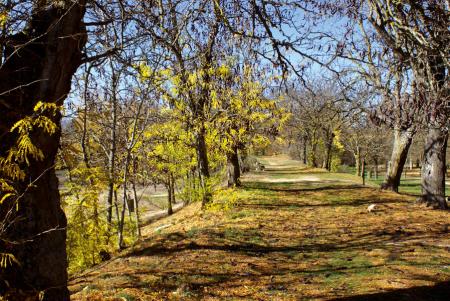 Imagen El Sotillo - Vega del Guadarrama