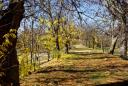 Imagen Ruta del Sotillo – Rio Guadarrama – Campo de golf