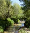 Imagen Ruta de Sacedón – Vega baja del Guadarrama