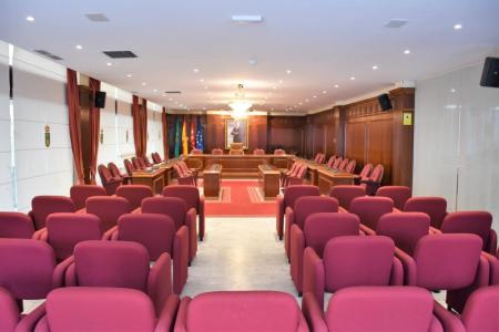 Pleno ordinario