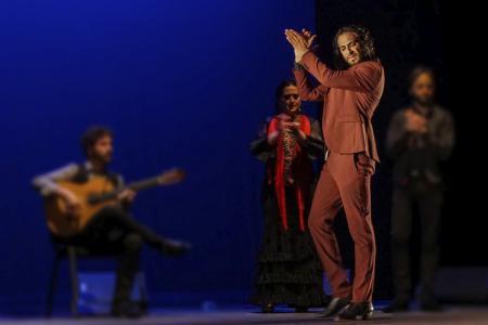 Noches de Flamenco