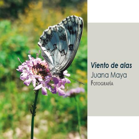 Exposiciones