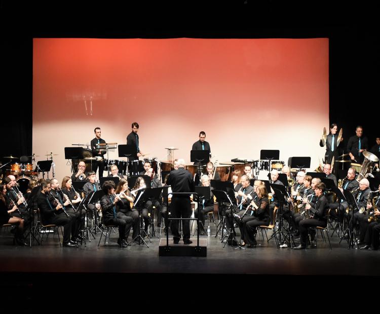 Concierto de Santa Cecilia